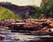 温斯洛 荷默 : Hudson River at Blue Ledge, Essex County